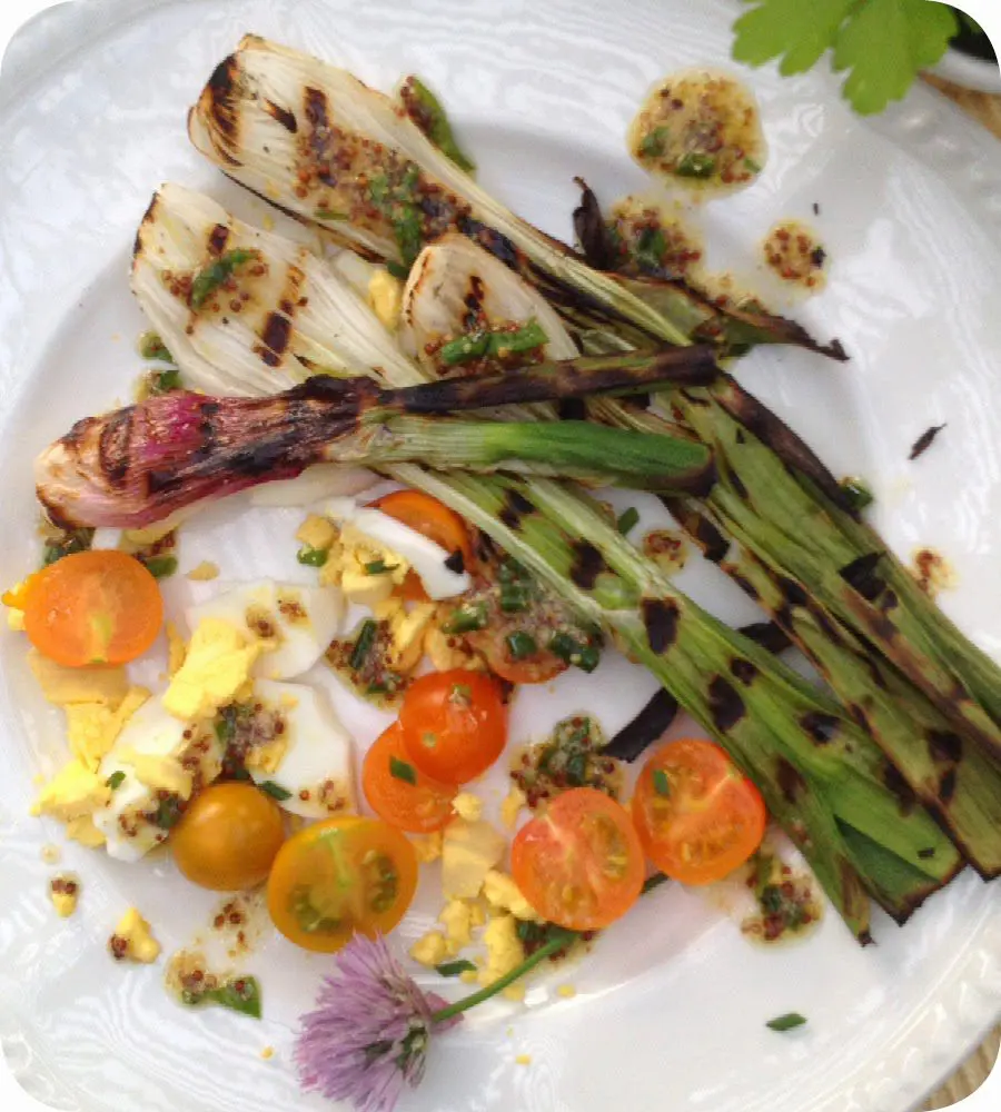 A plate of grilled vegetables with cherry tomatoes and garnish.