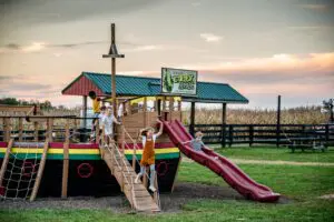 A playground with slides and climbing features sits adjacent to a cornfield under a dusky sky in Kentucky.