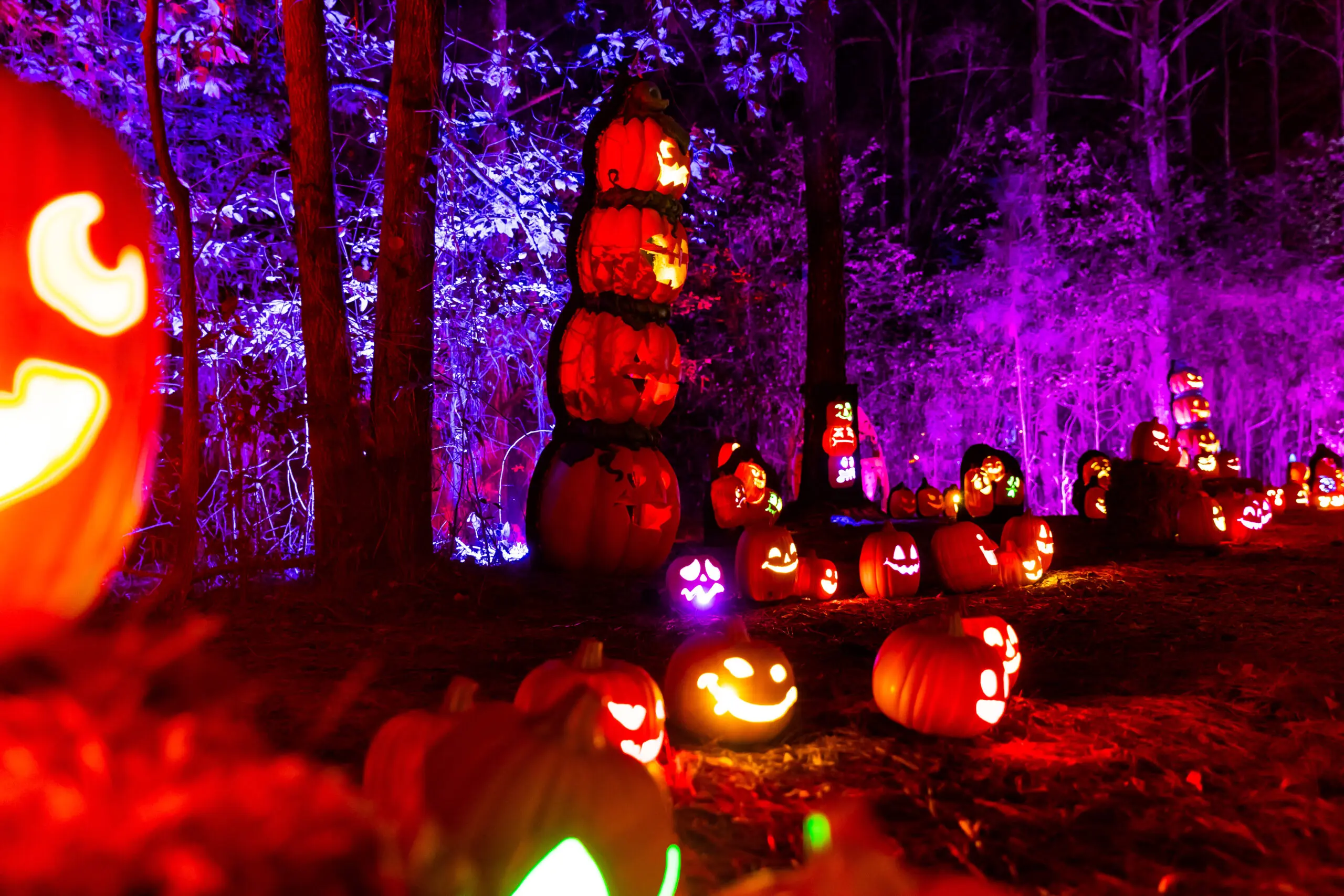 Scene of Jack's Lighted Trail