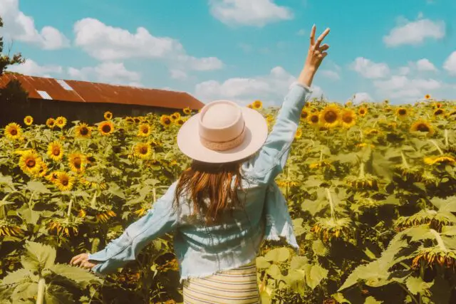 A person wearing a hat makes a peace sign while standing amidst sunflowers under a blue sky with fluffy clouds.