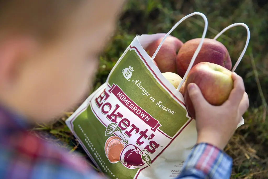 Apples in a bag with boy blurred in the background.