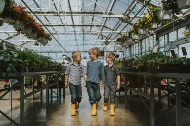 Three children walk together through a sunlit greenhouse full of hanging plants, all wearing yellow boots.
