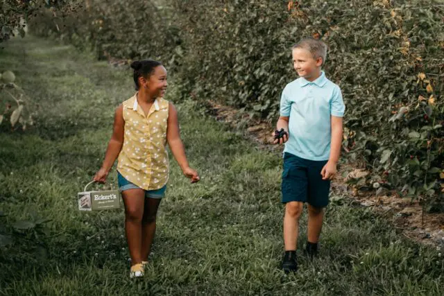 Two children are walking and smiling through a lush orchard with one holding a small sign.