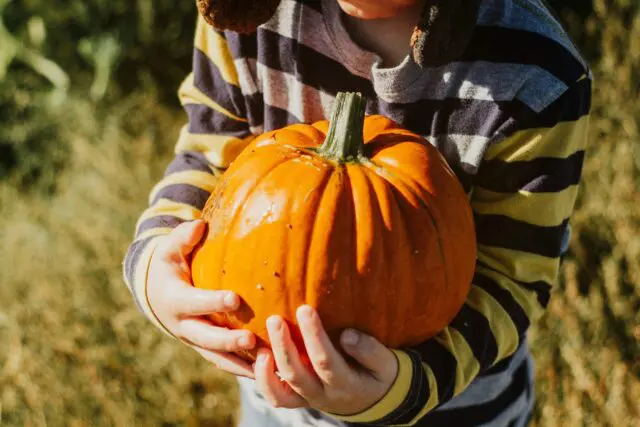 A young child with striped shirt holding a pumpkin.