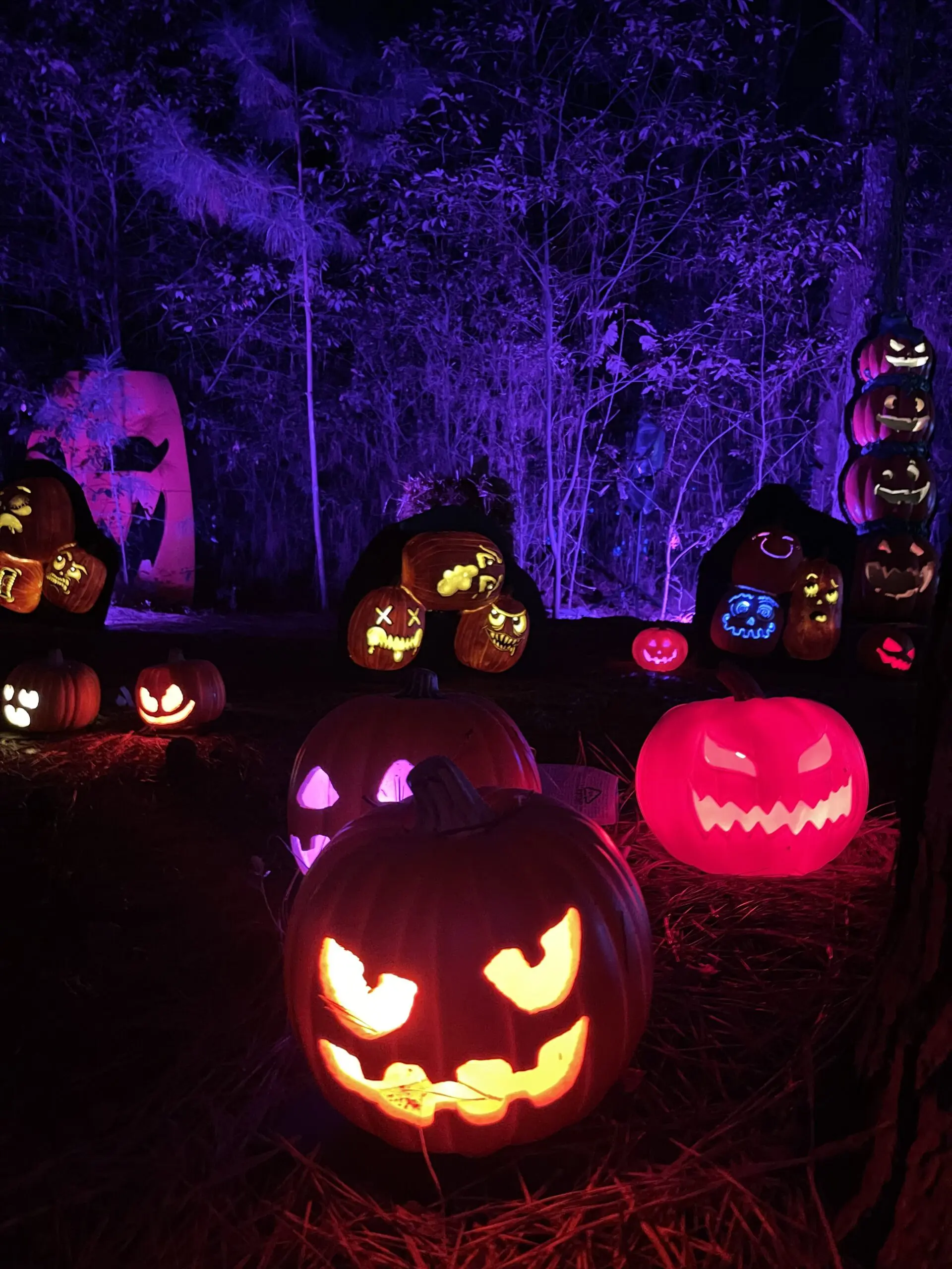 Jack's Lighted Trail