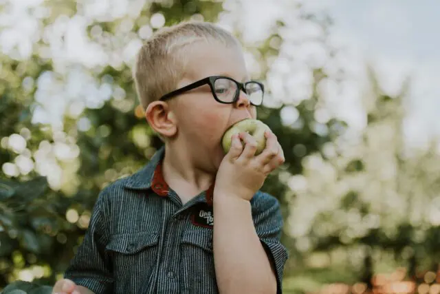A picture of a blonde boy with glasses biting into a granny smith apple