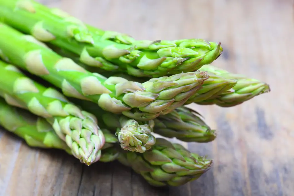 homegrown asparagus close up of tips.