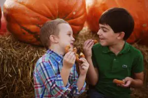A picture of two boys eating doughnuts in front of large pumpkins