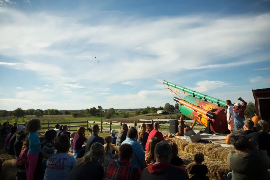 Pumpkin Cannon with audience