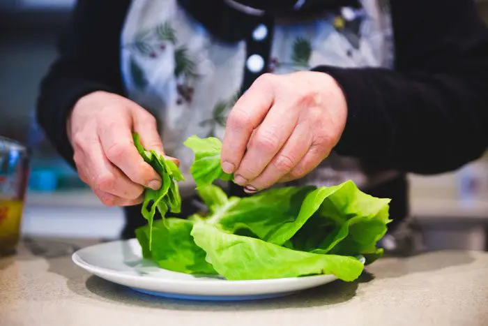 Hydroponic-Lettucce.jpg