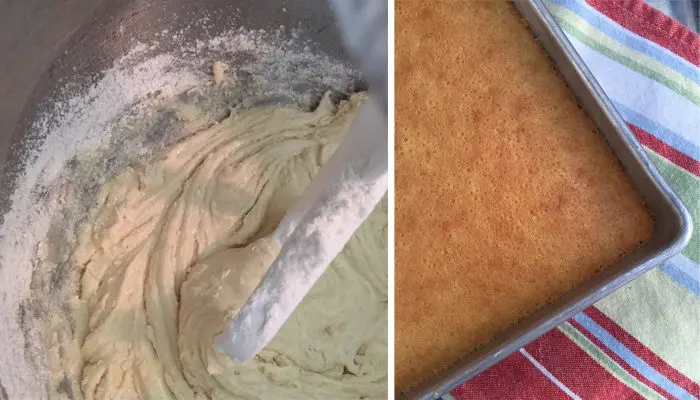 Sponge Cake