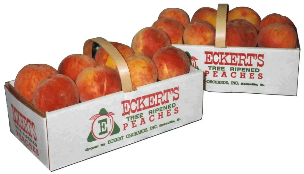 Peaches.jpg