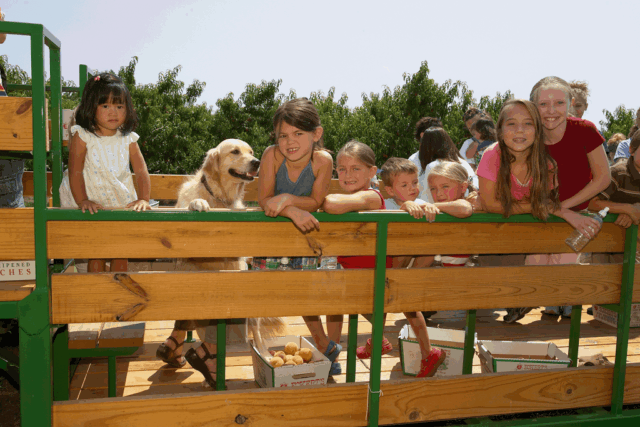 A picture of children riding the Eckert's wagon