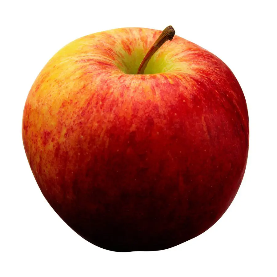 apple-in-color.jpg