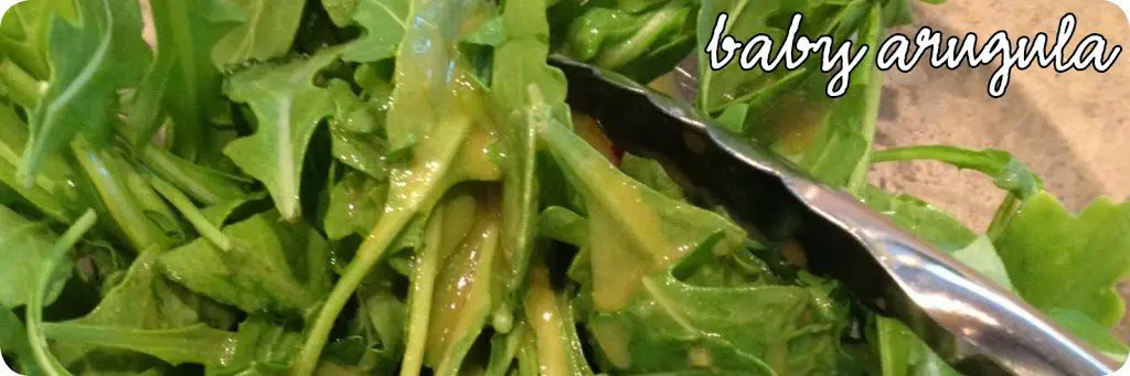 Baby Arugula