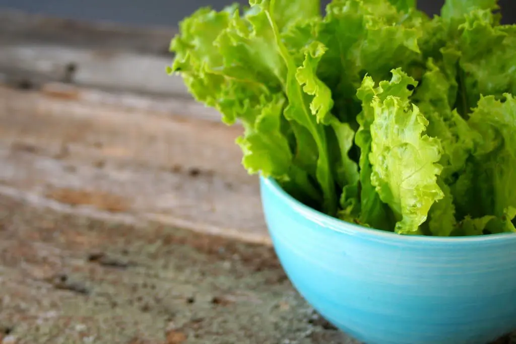 lettuce_leaf-300x2001.jpg