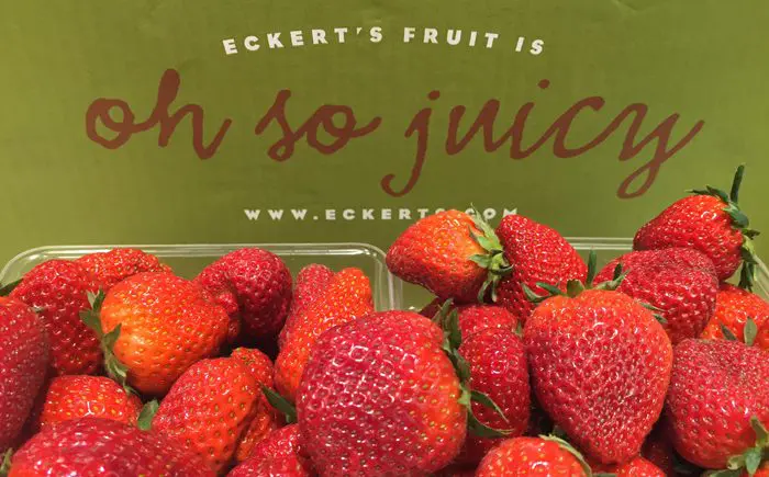 oh so juicy