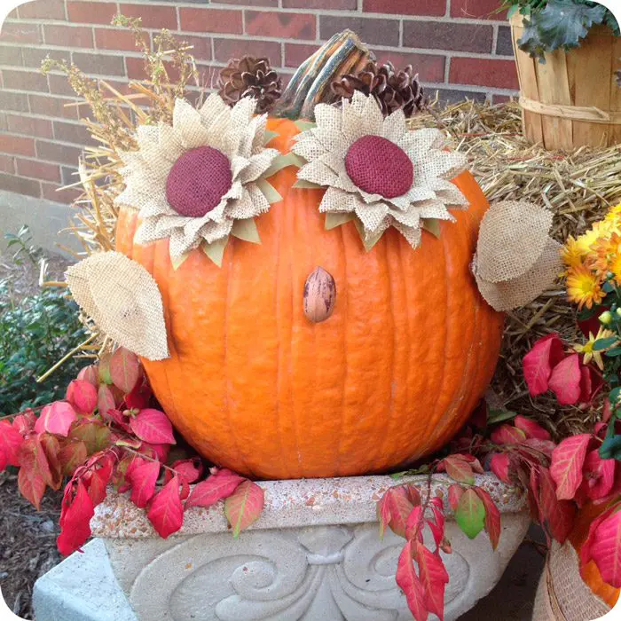 Owl Pumpkin