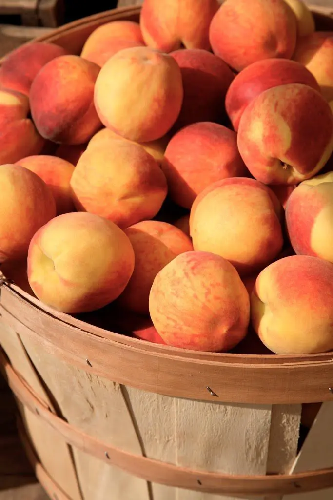 Peaches in a Wooden Basket