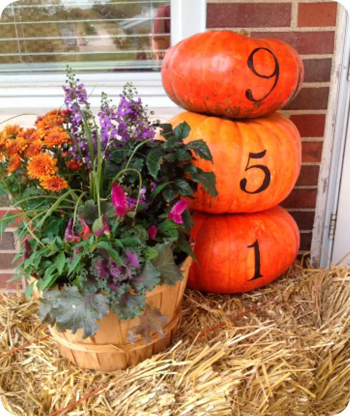 Address on Pumpkins