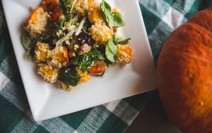 Quinoa Salad with Roasted Red Kuri Squash on green checked cloth with fall pumpkin.