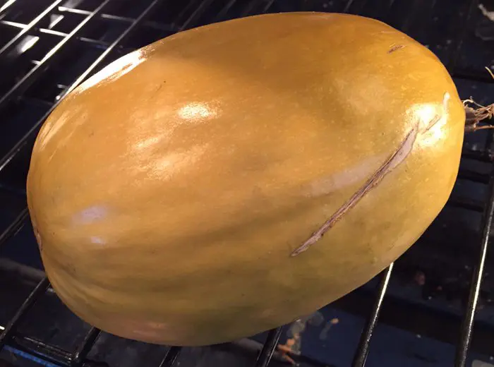 Spaghetti Squash