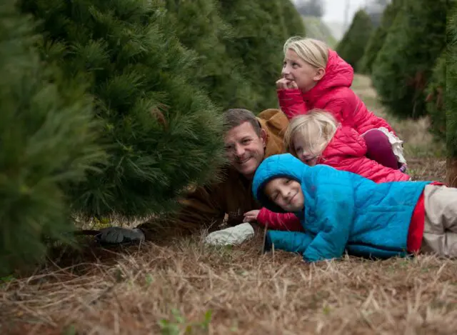 Cut Your Own Christmas Tree. Kids with Dad