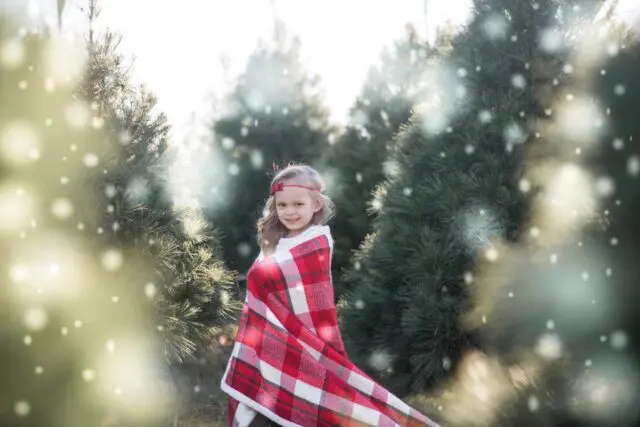 Christmas Tree Farm- little girl with plaid blanket in tree farm with snowflakes.