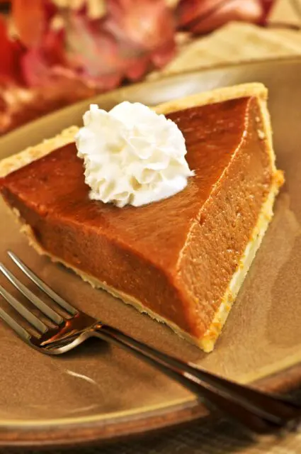 Pumpkin Pie slice on plate with fork and whipped cream.