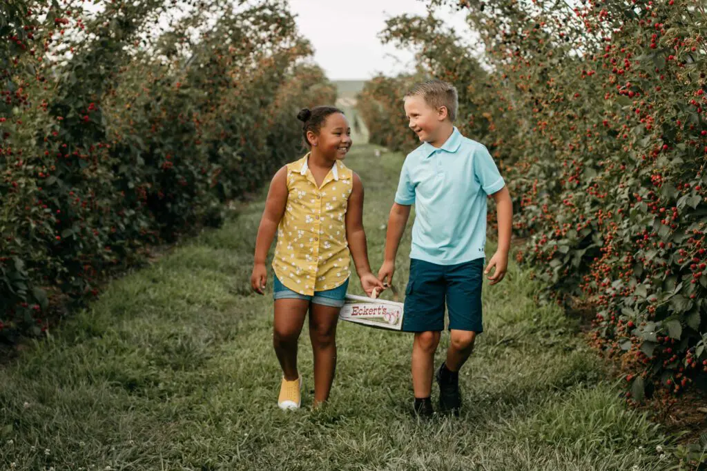 Boy and Girl holding blackberry container while walking between rows.