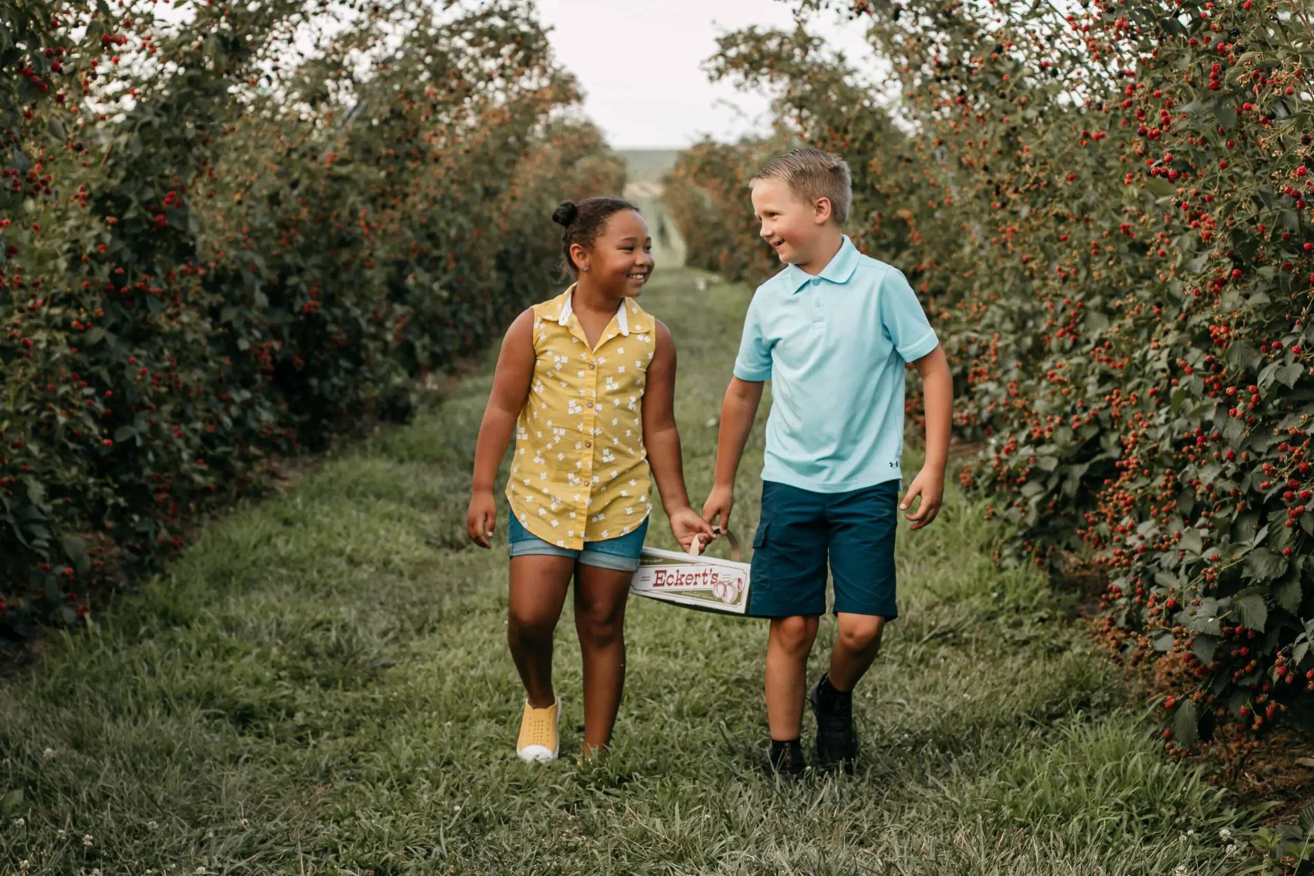 Boy and Girl holding blackberry container while walking between rows.