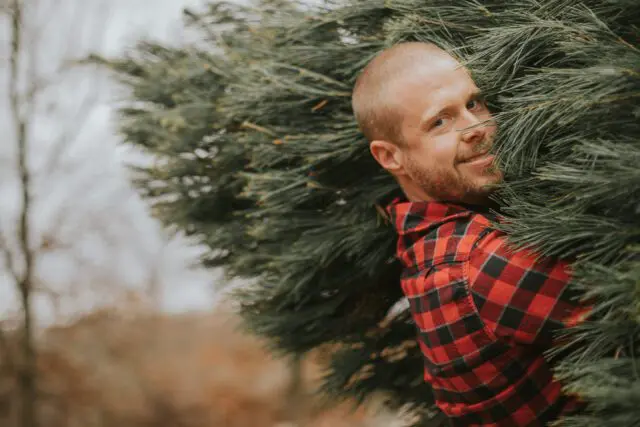 Smiling man carrying Christmas Tree