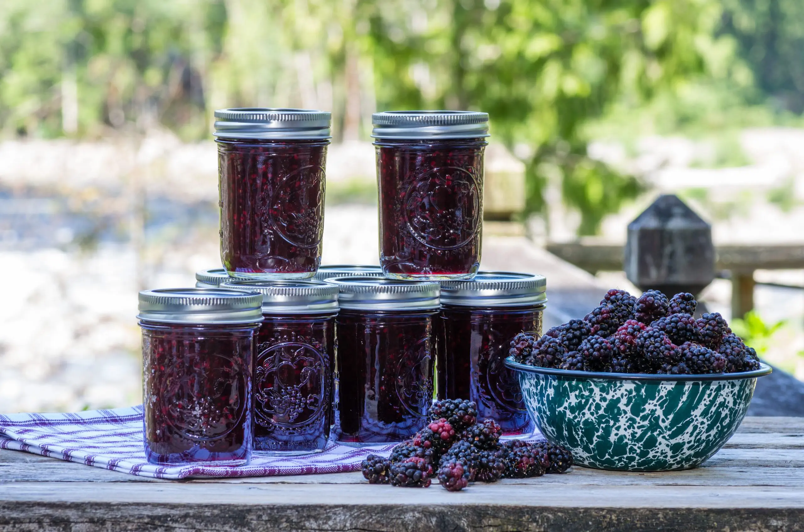 Blackberry Jam in glass jars with blackberries in bowl outoors on a wood table