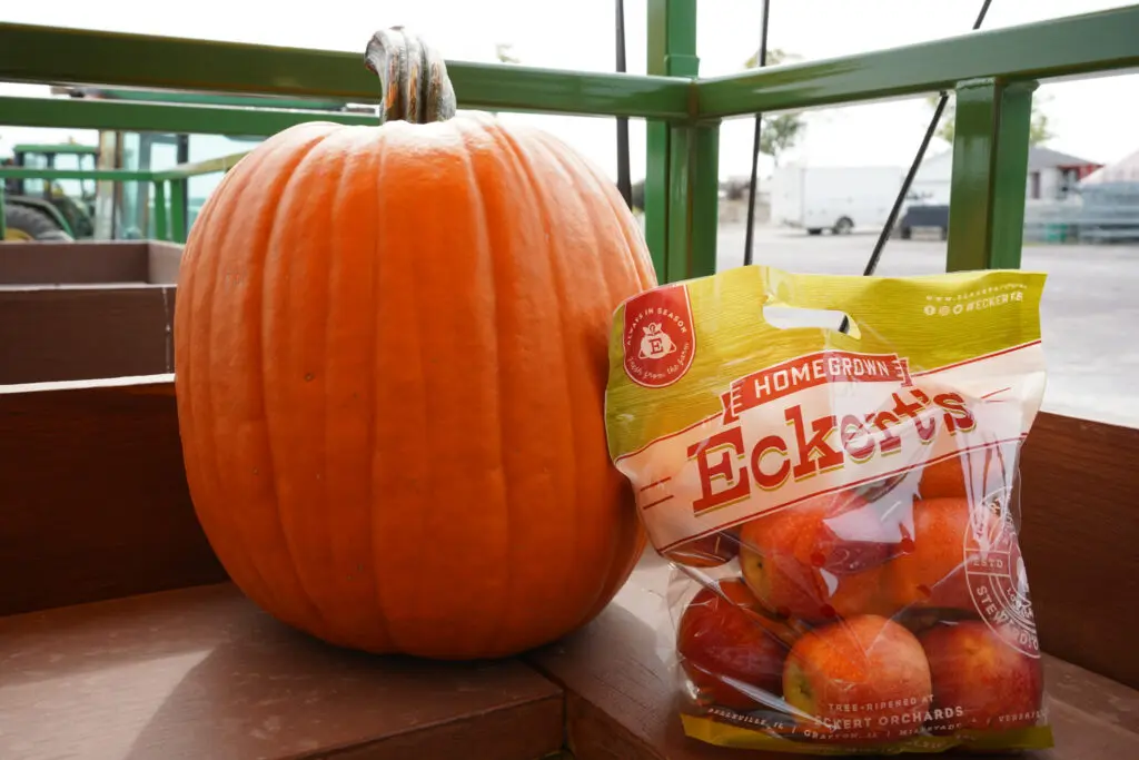 apples & pumpkins display on tractor bench