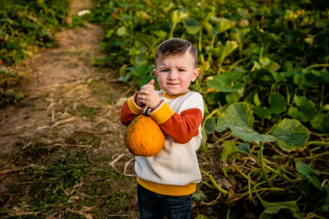 Boy holding pumpkin in Kentucky Patch