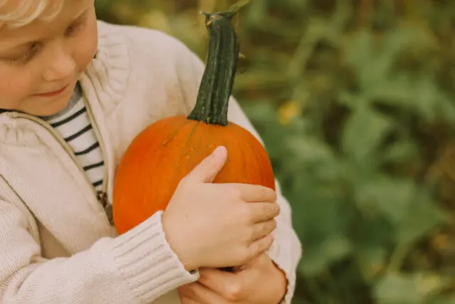 Boy holding pumpkin outside close up