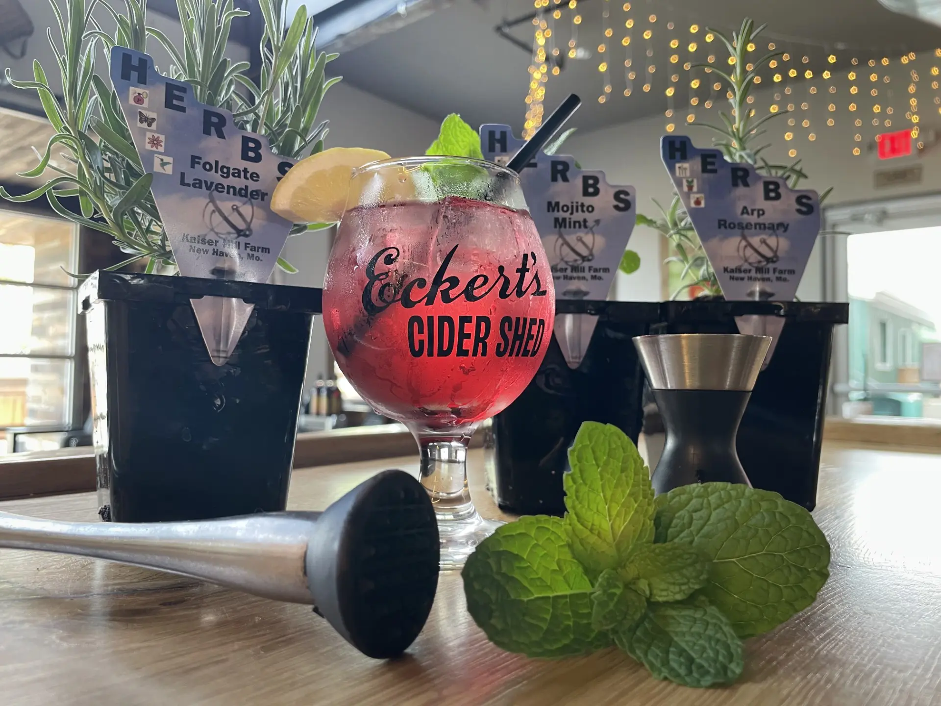 Workshop; classroom garden class. Cider Shed pic of Cider Glass and Herbs