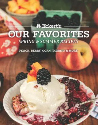 Cookbook Cover Spring and Summer Recipies 2024