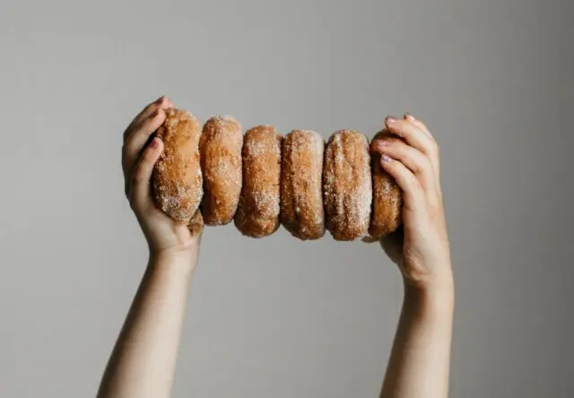 Eckert's Cider Donut. Person holding 6 donuts in hands close up