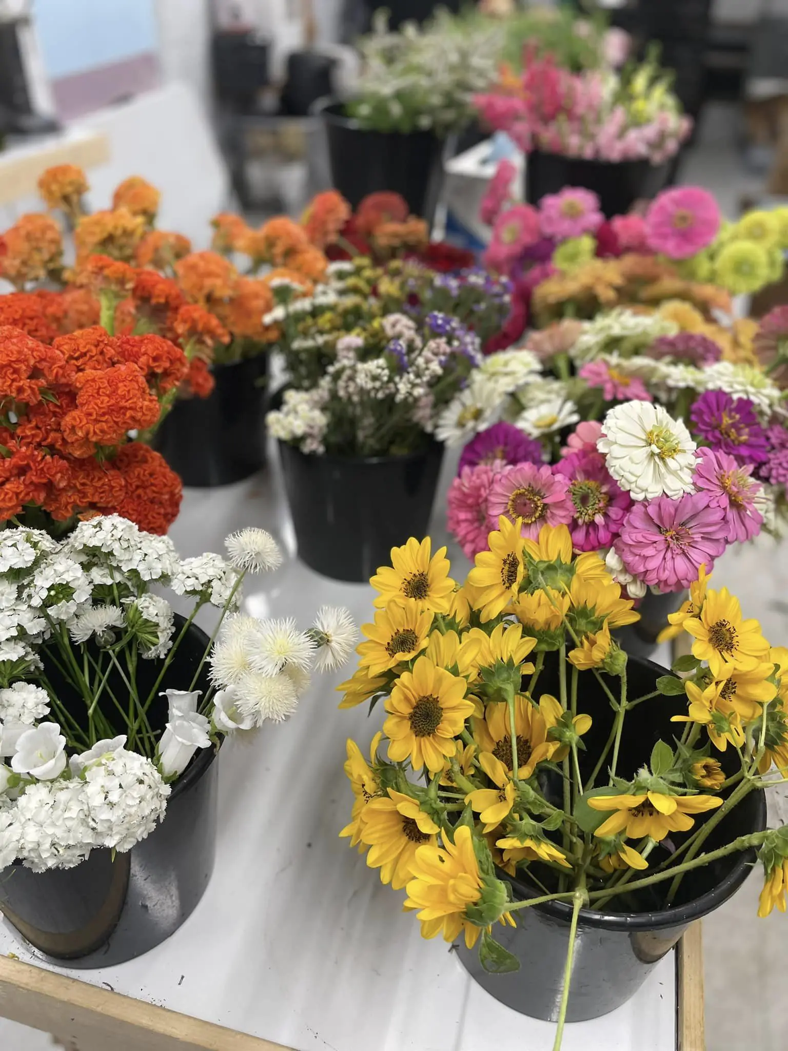 Workshop; flower arranging class. Container flowers