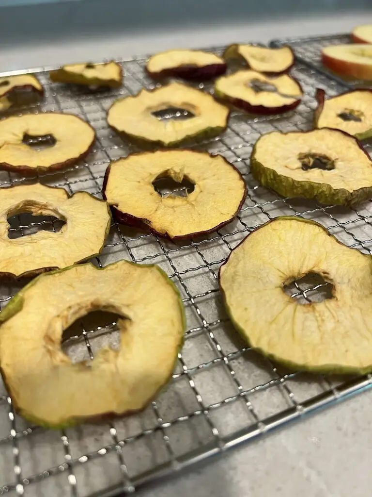 dehydrated apples on wire rack close up