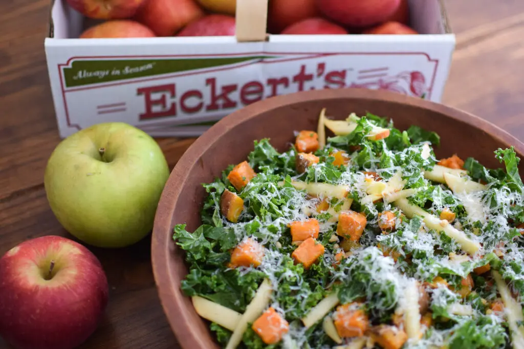 Eckert container holding apples and a bowl of Harvest Apple Salad.