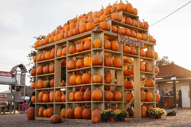 Pumpkin House at Millstadt Farm