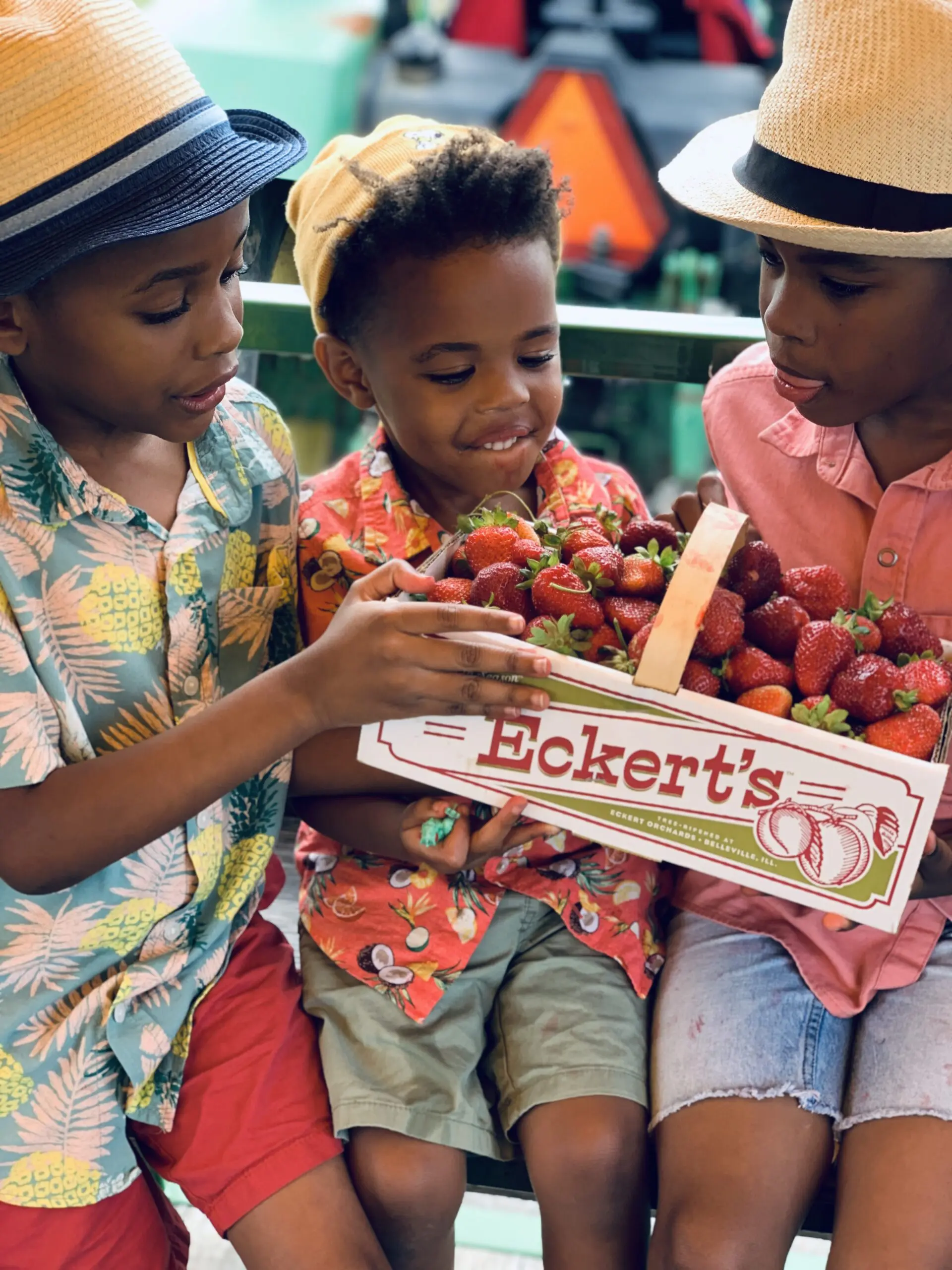 Three young boys on tractor after picking strawberries and holding a box overflowing with strawberries.