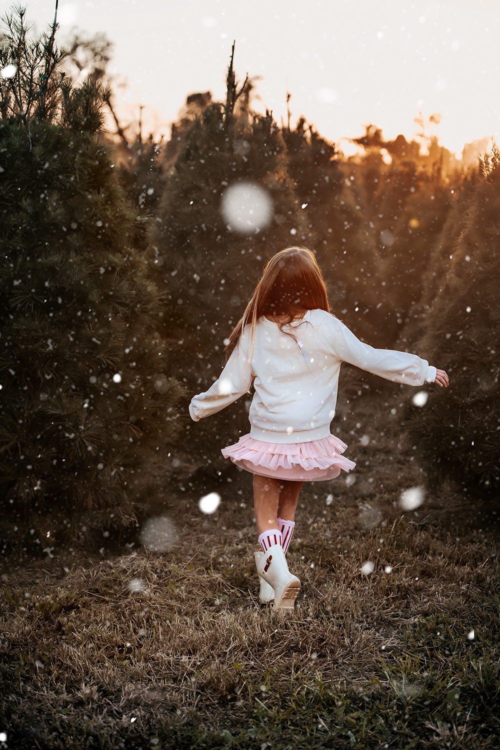 mini photo session for christmas