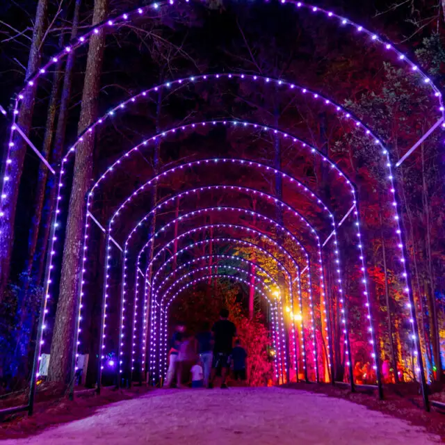 Jacks Lighted Trail Light Show