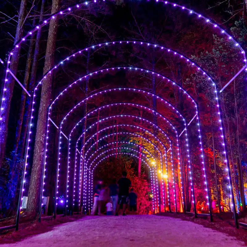 Jacks Lighted Trail Light Show