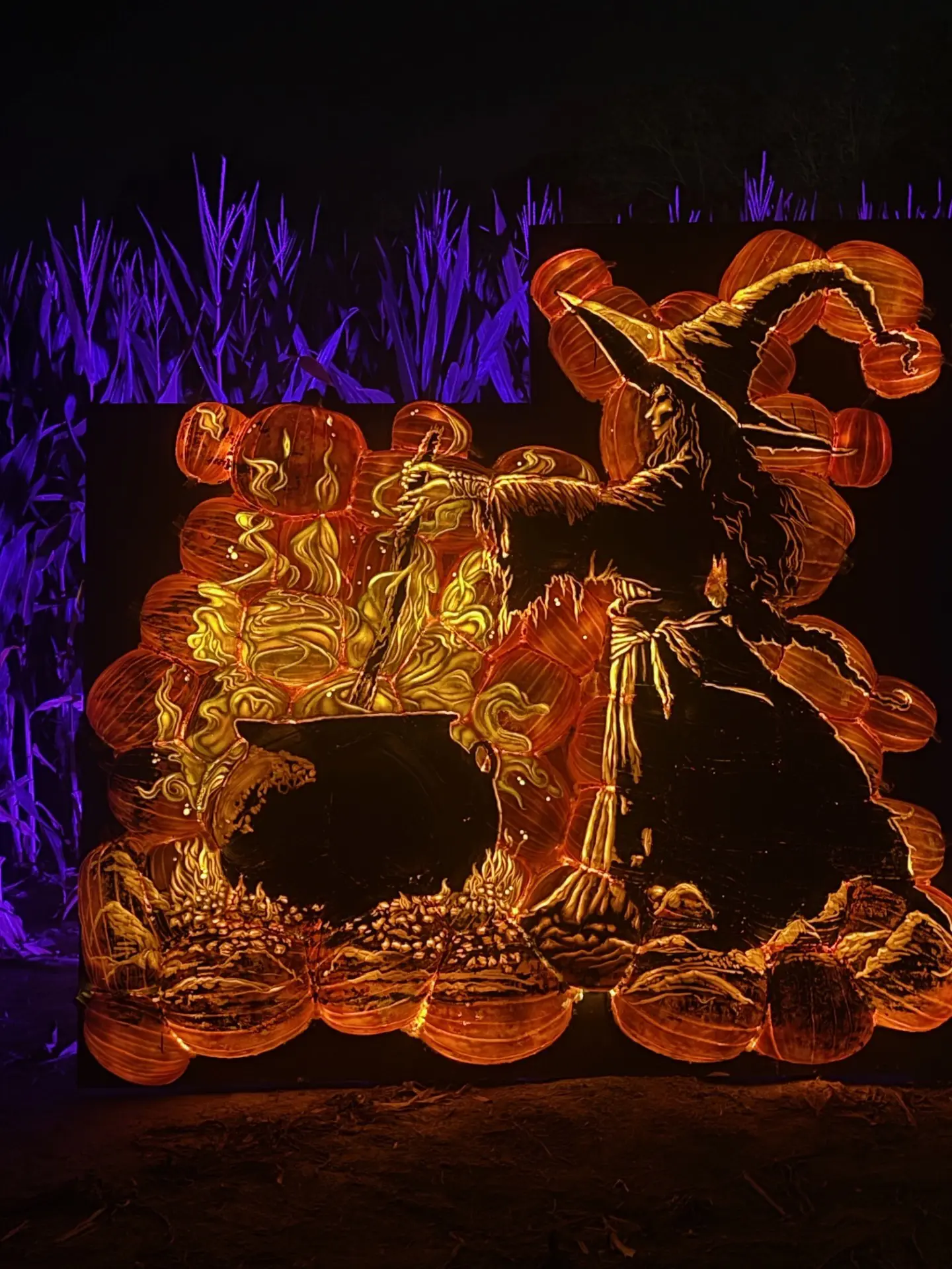 Witch at Jack's Lighted Trail