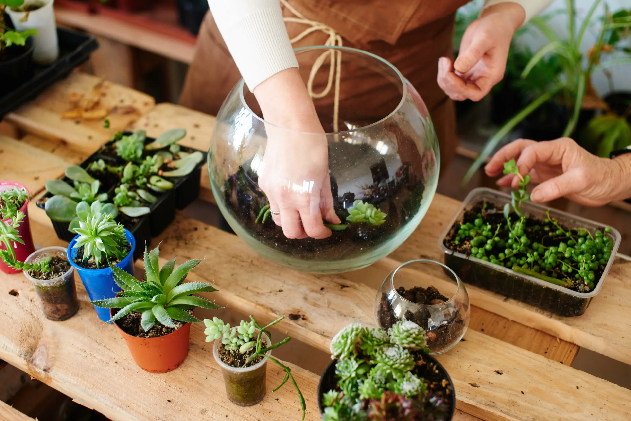 Build Your Own Terrarium Workshop