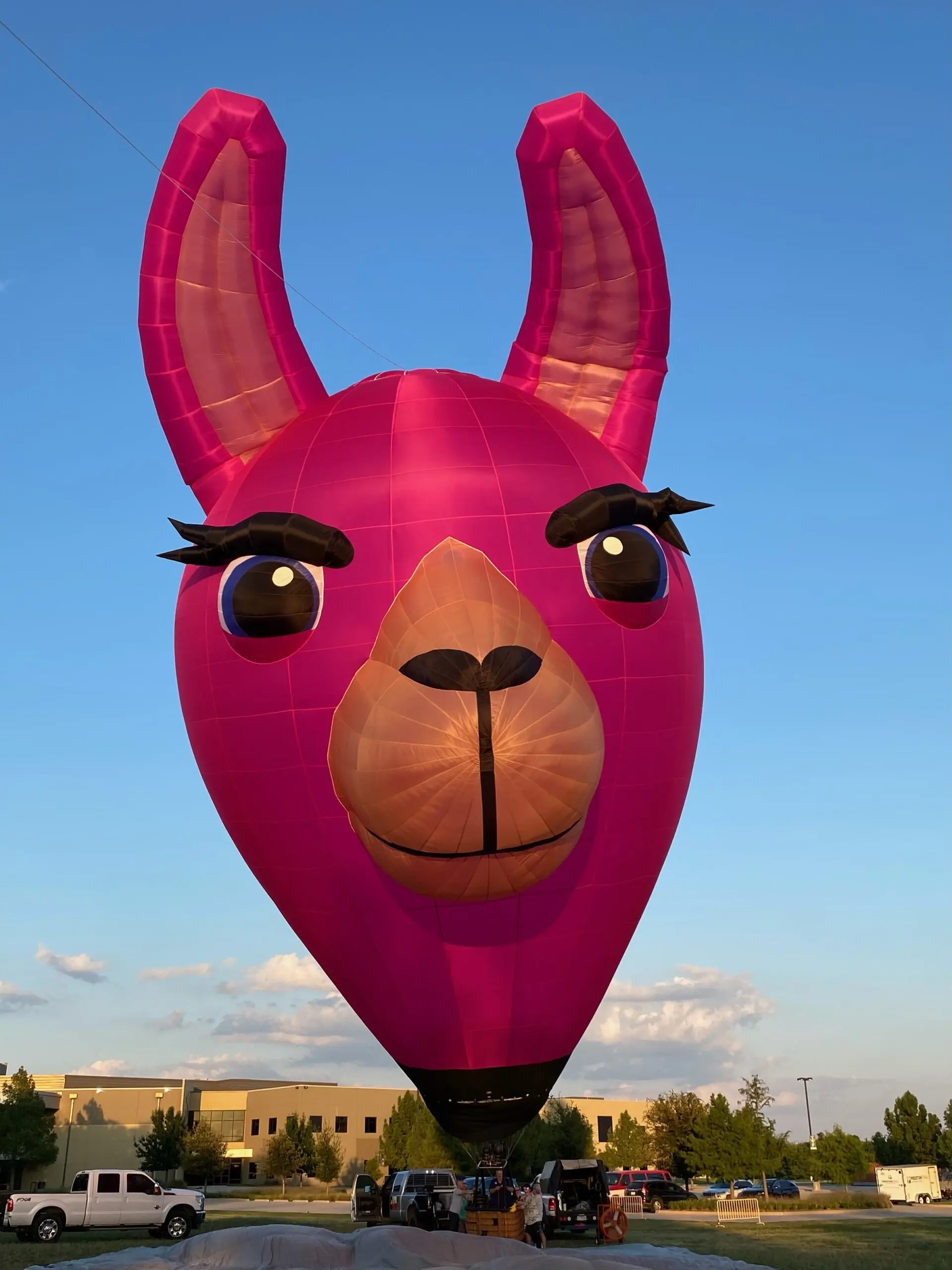 llama hot air balloon